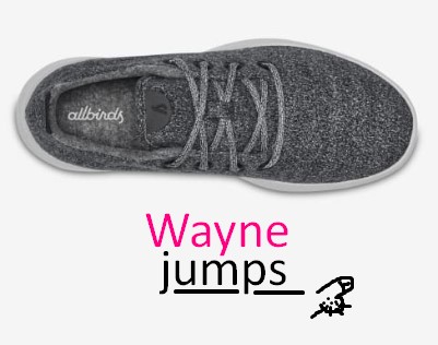waynes logo top